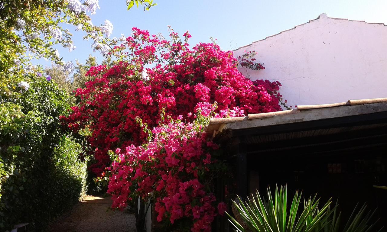 הוילה אלבופיירה Quinta Das Flores מראה חיצוני תמונה